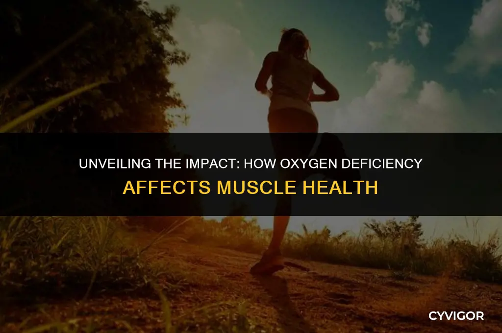 how oxugen deficiency affect muscle