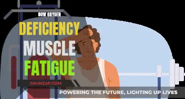 Oxygen Deprivation: Understanding Muscle Fatigue and Recovery