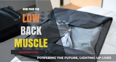 Essential Packing Tips to Ease Low Back Muscle Strain