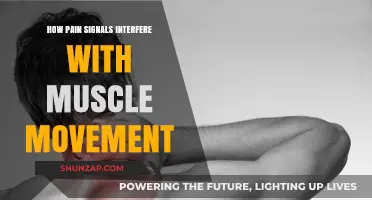 Pain Signals: How They Disrupt and Interfere with Muscle Movement