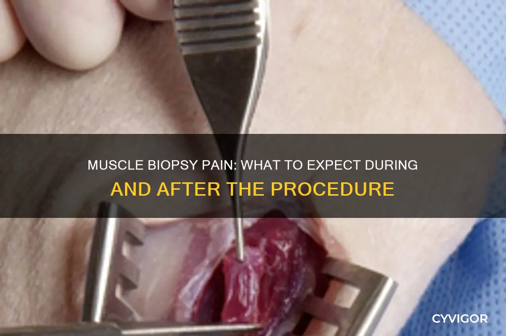 how painful is a muscle biopsy