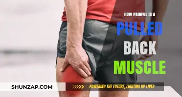 Pulled Back Muscle Pain: Understanding the Intensity and Recovery Process