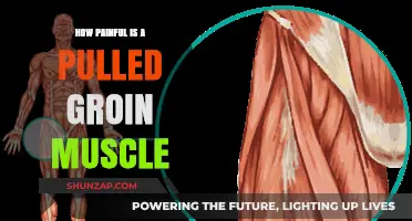 Pulled Groin Muscle Pain: Understanding the Intensity and Recovery Process