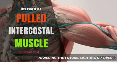 Pulled Intercostal Muscle Pain: Understanding the Intensity and Recovery Process