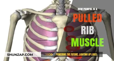 Pulled Rib Muscle Pain: Understanding the Intensity and Recovery Process