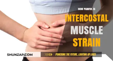 Understanding the Pain of Intercostal Muscle Strain: Causes and Relief