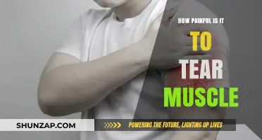 Muscle Tears: Understanding the Pain and Recovery Process