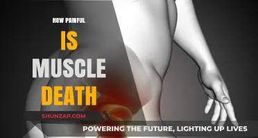 Understanding the Agony of Muscle Death: Causes, Symptoms, and Relief