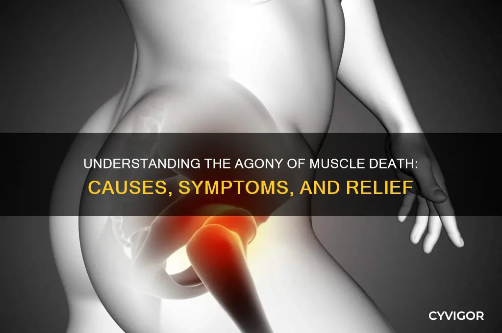 how painful is muscle death