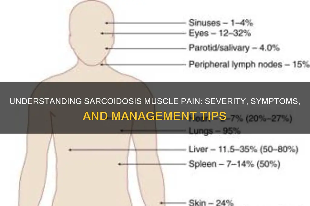 how painful is sarcoidosis in the muscles