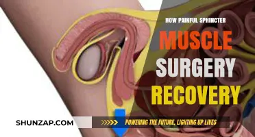 Painful Sphincter Muscle Surgery Recovery: What to Expect and How to Heal