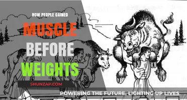 Building Strength Without Weights: Ancient Muscle-Gaining Techniques Revealed