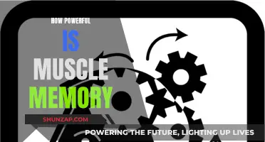 Muscle Memory: Unlocking the Power of Physical Intelligence
