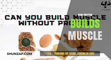 Unlocking Strength: The Science of Protein in Muscle Building