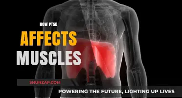 Unraveling the Impact: How PTSD Affects Muscle Health