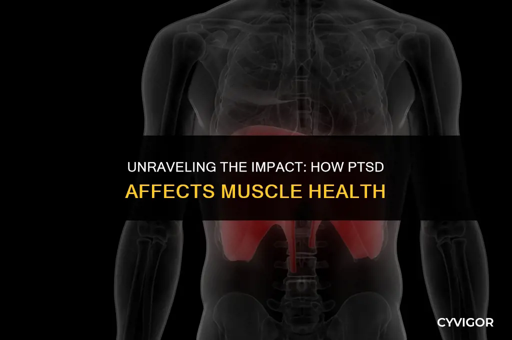 how ptsd affects muscles