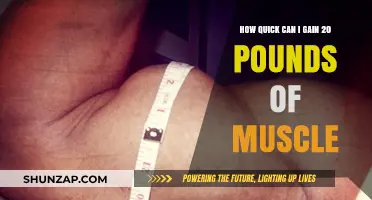 Rapid Muscle Gain: Strategies to Add 20 Pounds of Muscle Fast