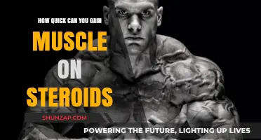 Rapid Muscle Gains: Steroids' Impact on Quick Physique Transformation