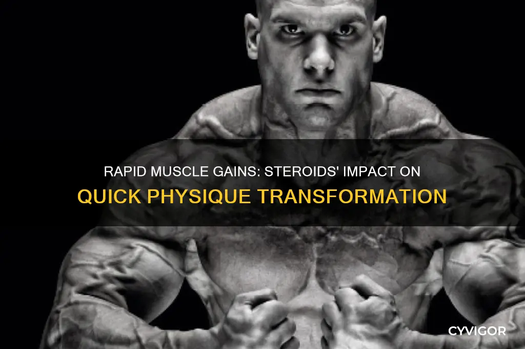 how quick can you gain muscle on steroids