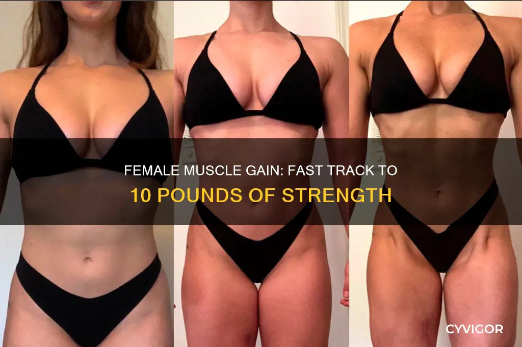 how quickly can i gain 10 pounds of muscle female