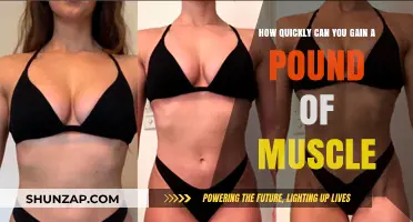 How Fast Can You Build a Pound of Muscle?