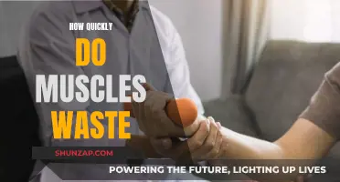 Muscle Wasting: Understanding Rapid Atrophy and Degeneration