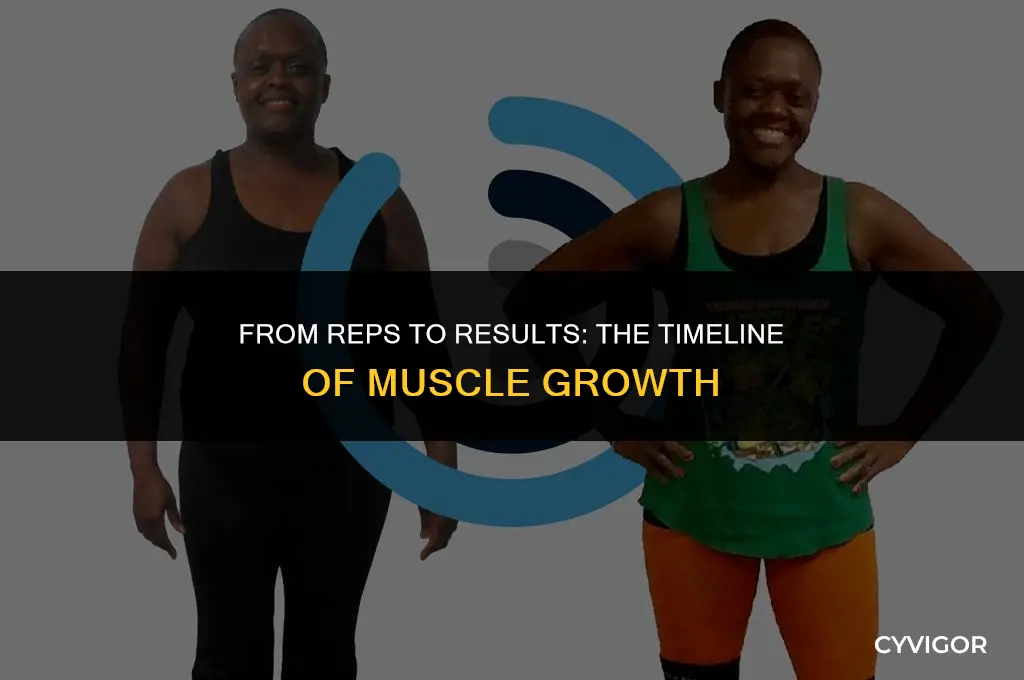 how quickly does muscle build