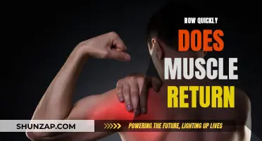 Rebuilding Muscle: How Fast Can You Regain Strength?