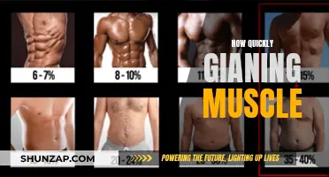 Rapid Muscle Gain: Secrets to Quick Results
