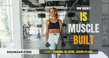 Building Muscle: How Fast Can You Expect Results?