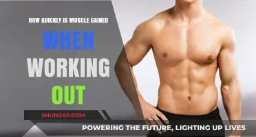 Muscle Gain Speed: How Fast Can You Build Strength Through Workouts?