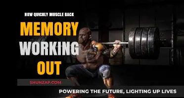 Muscle Memory: How Fast Does Your Body Recall Workout Strength?