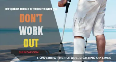 Muscle Deterioration: How Fast Does Inactivity Weaken Your Body?