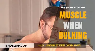 How Fast Can You Build Muscle During a Bulk?