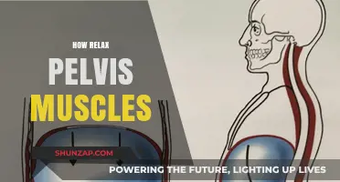 Effective Techniques to Relax Pelvis Muscles for Comfort and Relief