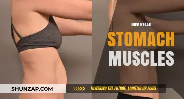 Effective Techniques to Relax Stomach Muscles for Better Digestion and Comfort