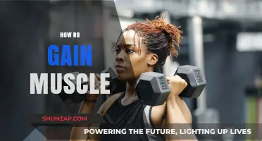 Effective Strategies for Building Muscle Mass and Strength Fast