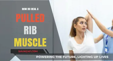 Effective Ways to Heal a Pulled Rib Muscle and Relieve Pain