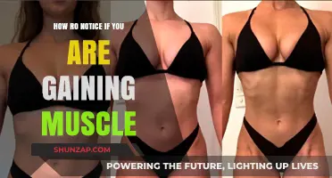 Spotting Muscle Growth: Key Signs You're Building Strength Effectively