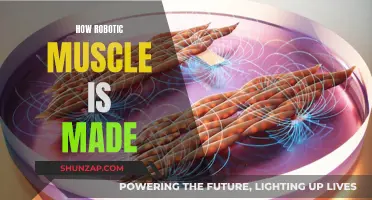 Robotic Muscle: Engineering the Future of Human-like Movement