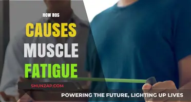 ROS Overload: Understanding Muscle Fatigue