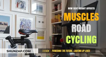 The Impact of Seat Height on Muscle Engagement in Road Cycling