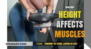 Unveiling the Impact: Seat Height and Muscle Health Connection