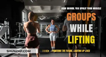 Effective Muscle Group Splits for Optimal Lifting Results and Recovery