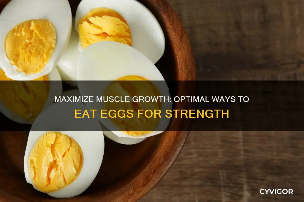 how should i eat eggs to gain muscle