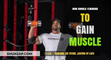 Effective Muscle-Building Workouts: Strategies for Strength and Size Gains
