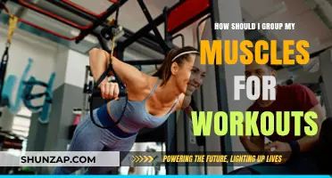 Effective Muscle Grouping Strategies for Optimal Workout Results and Gains