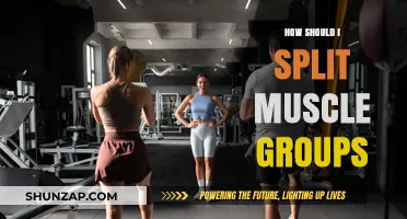 Effective Muscle Group Splits: Maximize Gains with Smart Training Strategies