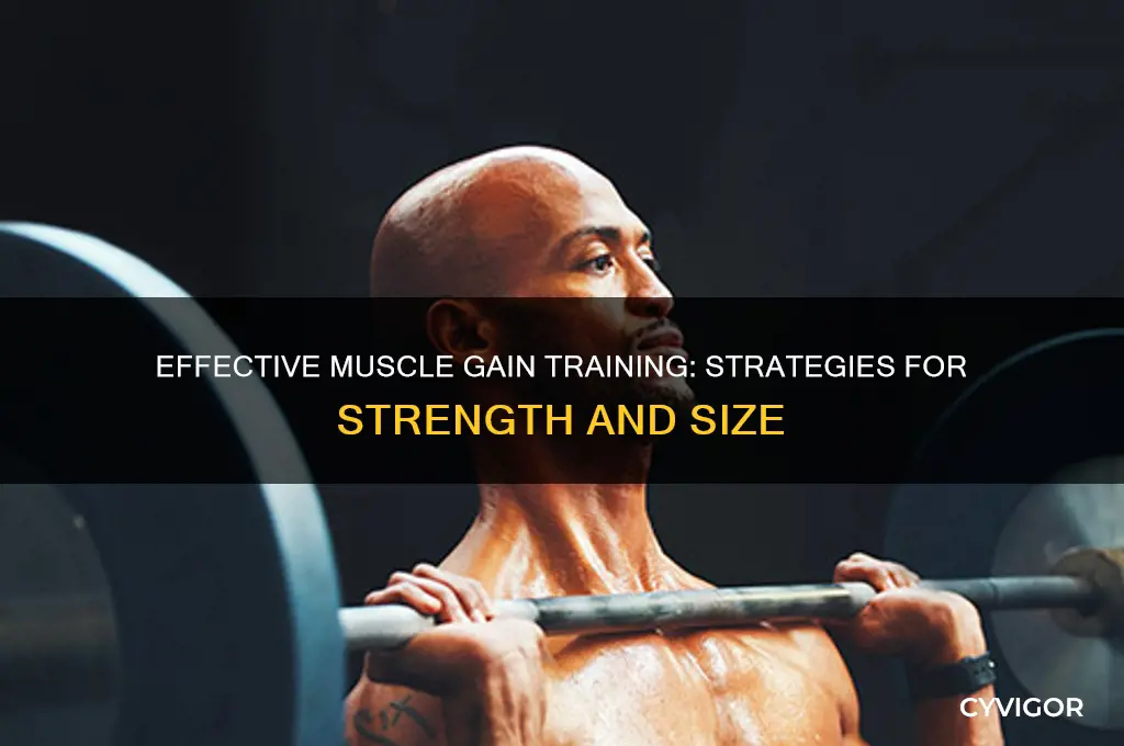 how should i train for muscle gain