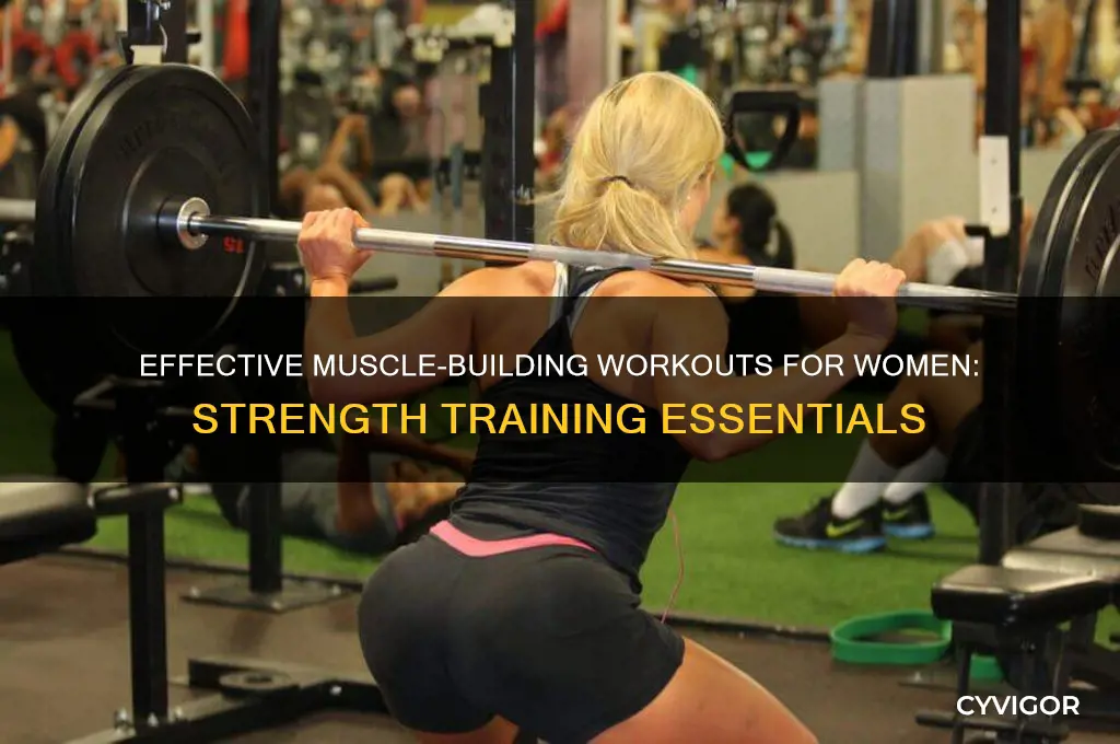 how should i work out to gain muscle women